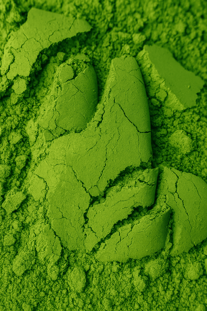 Elitinė Okumidori - I derlius - 6A(aukščiausia klasė) - 40gBONUS TONUS