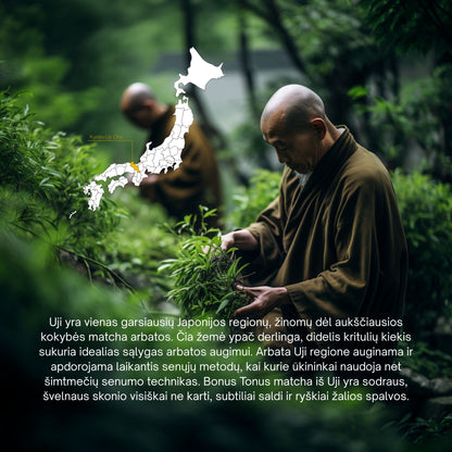 Japonijos Žaliasis Perlas - Samidori, Uji - I derlius–5A - 40gBONUS TONUS